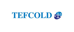 Ремонт холодильников Tefcold